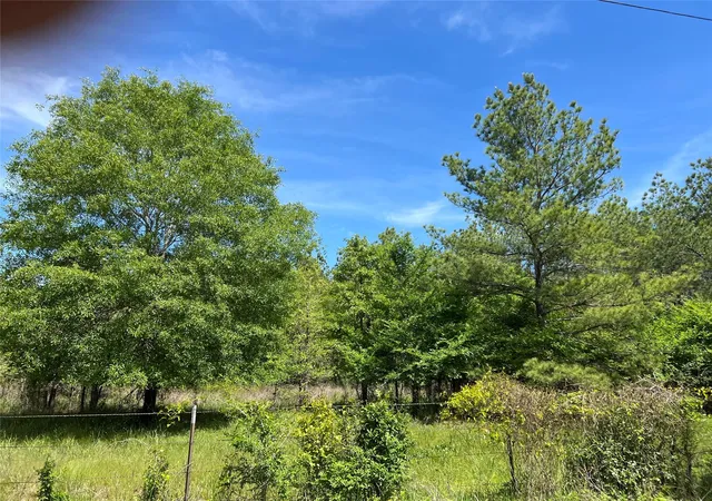 Homes for sale in Bedias, TX | Tract 3 English Rd, Bedias, TX 77831 | MLS# 21766210