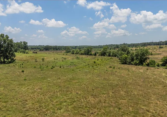 Photo 3 of Land for sale at Tbd Fm 857 Rd, Grand Saline, TX 75140 | MLS# 82612318 | Listing updated on 2026-06-16