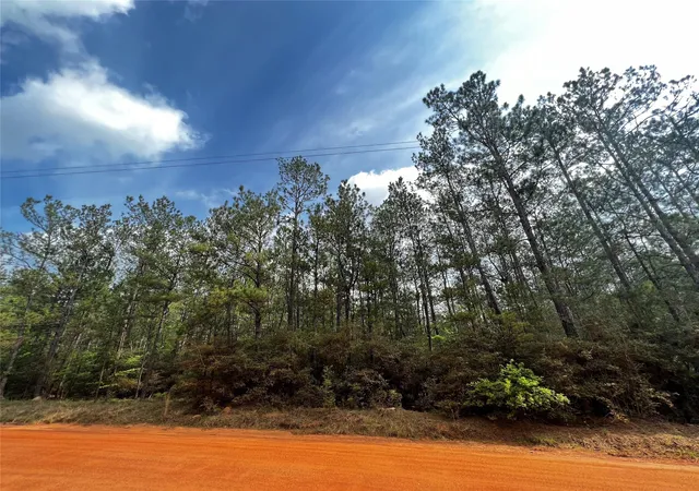 Photo 2 of Land for sale at 00 Forest Valley Dr, Cleveland, TX 77328 | MLS# 87756134 | Listing updated on 2026-04-05