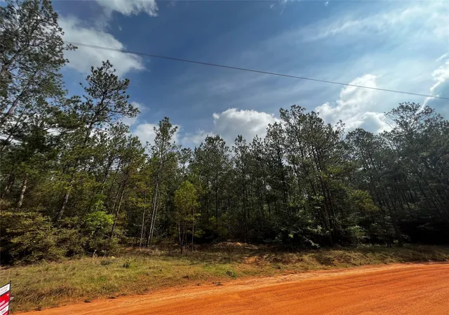 Photo 3 of Land for sale at 00 Forest Valley Dr, Cleveland, TX 77328 | MLS# 87756134 | Listing updated on 2026-04-05
