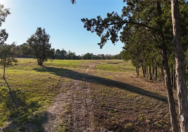 2nd image of Tbd Townley Ranch Rd, Huntsville, TX 77320 | MLS# 28147430