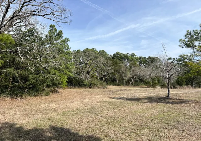 32nd image of Tbd Townley Ranch Rd, Huntsville, TX 77320 | MLS# 28147430