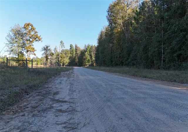 5th image of Tbd Townley Ranch Rd, Huntsville, TX 77320 | MLS# 28147430
