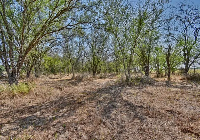 Photo 4 of Land for sale at 1348 Grubbs Road, Sealy, TX 77474 | MLS# 98543016 | Listing updated on 2026-06-09