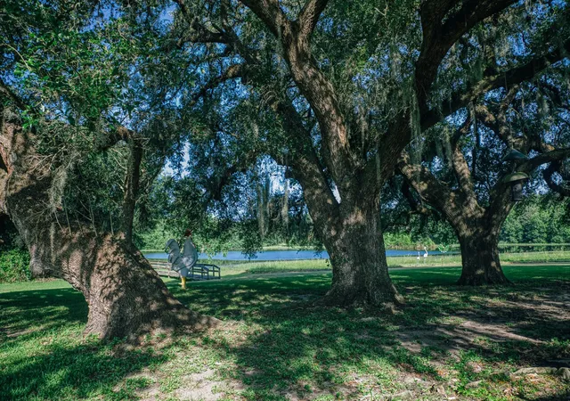 Photo 1 of Land for sale at 10671 Hidalgo Fls Rd, Washington, TX 77880 | MLS# 18245503 | Listing updated on 2026-07-27