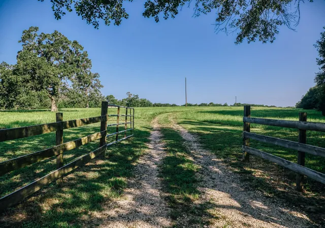 Photo 2 of Land for sale at 10671 Hidalgo Fls Rd, Washington, TX 77880 | MLS# 18245503 | Listing updated on 2026-07-27