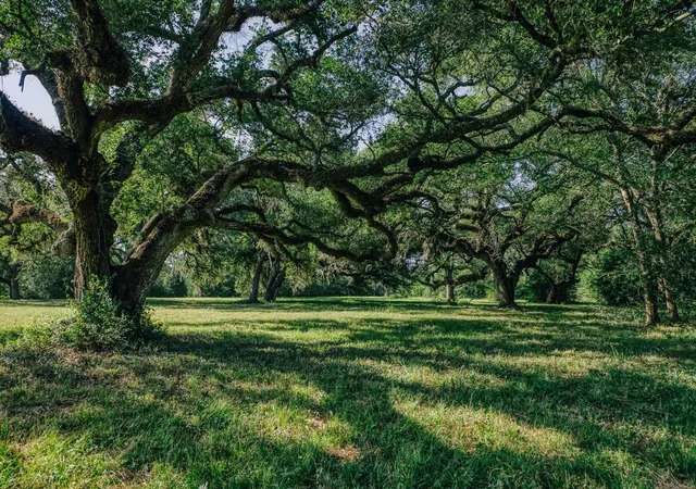 Photo 3 of Land for sale at 10671 Hidalgo Fls Rd, Washington, TX 77880 | MLS# 18245503 | Listing updated on 2026-07-27
