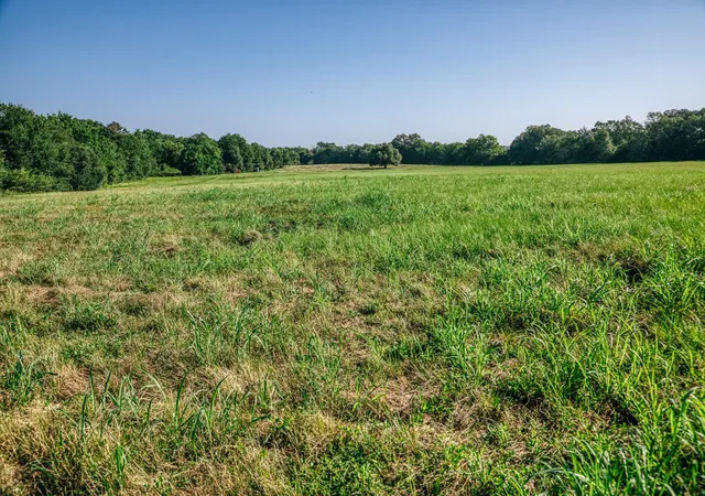Photo 3 of Land for sale at 10671 Hidalgo Fls Rd, Washington, TX 77880 | MLS# 18245503 | Listing updated on 2026-07-27