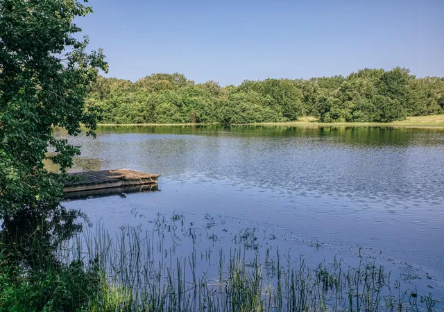 Photo 4 of Land for sale at 10671 Hidalgo Fls Rd, Washington, TX 77880 | MLS# 18245503 | Listing updated on 2026-07-27