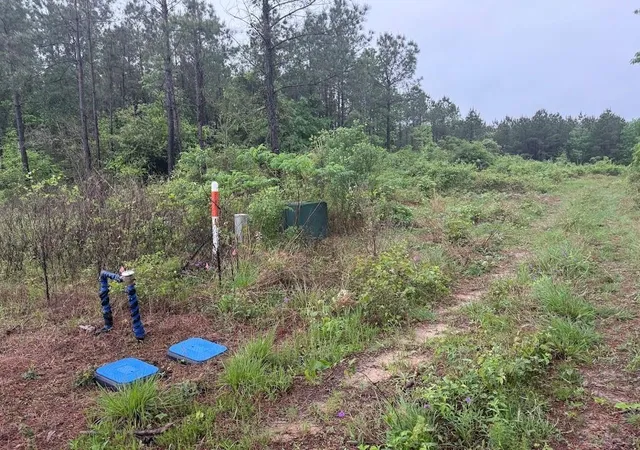 Photo 4 of Land for sale at 0 Pichetto Trl, Livingston, TX 77351 | MLS# 23941921 | Listing updated on 2026-10-04
