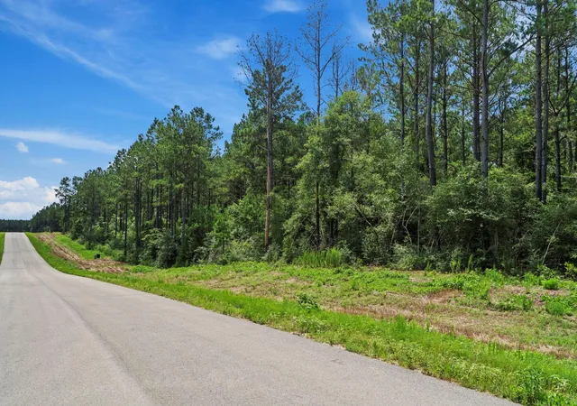 1st image of 16303 Golden Wood Ct, Willis, TX 77378 | MLS# 20737427
