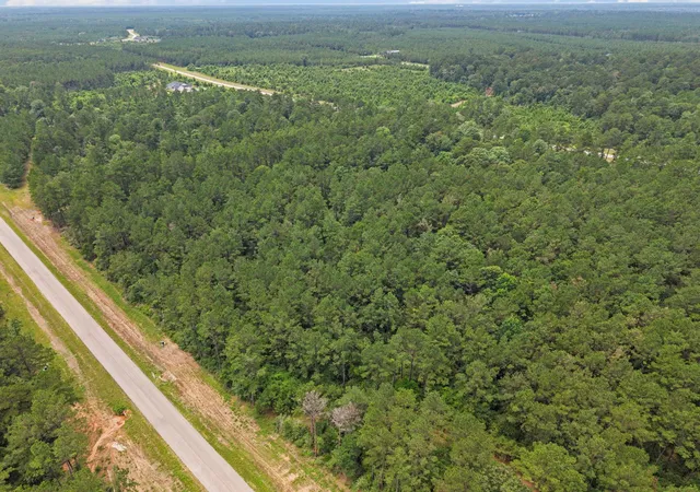 Photo 4 of Land for sale at 16303 Golden Wood Ct, Willis, TX 77378 | MLS# 20737427 | Listing updated on 2026-06-23