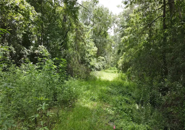 Photo 4 of Land for sale at 5-8 Mary Jo St, Cleveland, TX 77328 | MLS# 12442875 | Listing updated on 2026-07-26