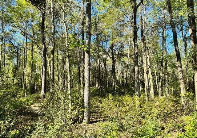 1st image of Tbd Railroad Ave, Shepherd, TX 77371 | MLS# 34325802