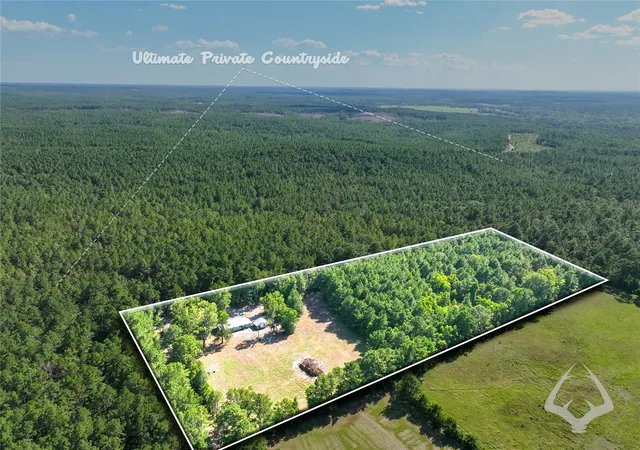 Photo 1 of Land for sale at 1698 County Road 2975, Colmesneil, TX 75938 | MLS# 53841921 | Listing updated on 2026-08-29