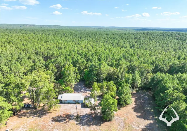 Photo 3 of Land for sale at 1698 County Road 2975, Colmesneil, TX 75938 | MLS# 53841921 | Listing updated on 2026-08-29