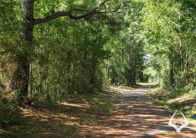 Photo 3 of Land for sale at 1698 County Road 2975, Colmesneil, TX 75938 | MLS# 53841921 | Listing updated on 2026-08-29