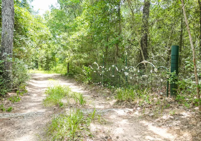 Photo 46 of Single family home for sale at 8464 Carolyn Ct, Plantersville, TX 77363 | MLS# 90123624 | Listing updated on 2026-09-04