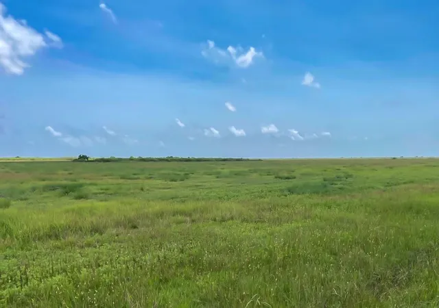 3rd image of Lot 2 Chambliss Rd, Bay City, TX 77414 | MLS# 20808287
