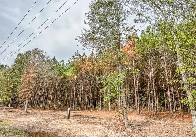 Photo 3 of Land for sale at 00 Cr 2307, Cleveland, TX 77327 | MLS# 75646067 | Listing updated on 2026-01-27