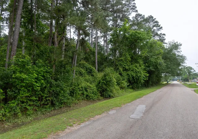 2nd image of 00 Lazy Ln, Porter, TX 77365 | MLS# 54470439