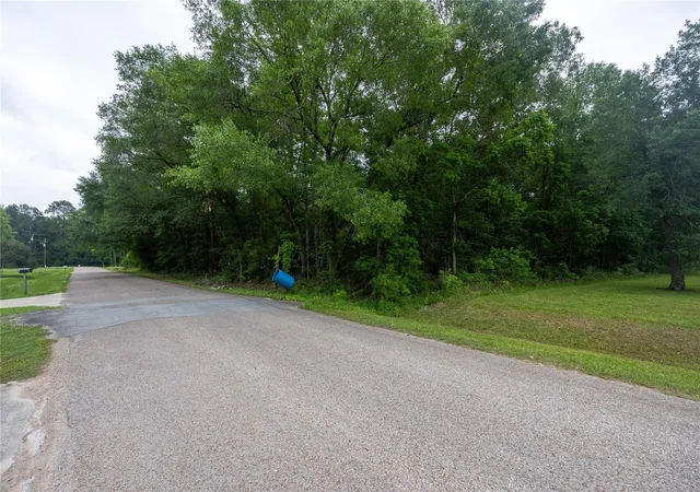 3rd image of 00 Lazy Ln, Porter, TX 77365 | MLS# 54470439