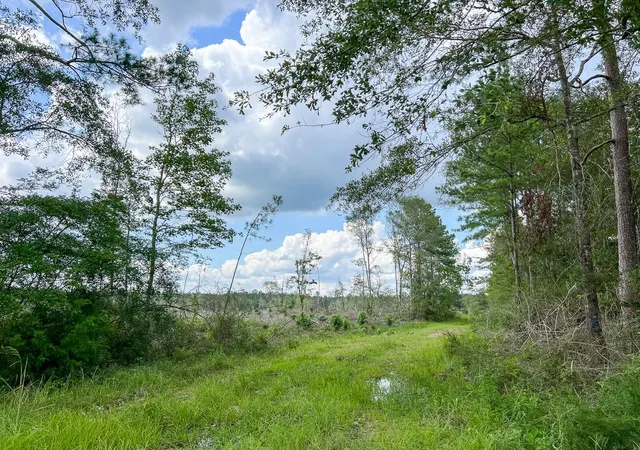 Homes for sale in Honey Island, TX | 1 Old Honey Island Road, Honey Island, TX 77625 | MLS# 74123765