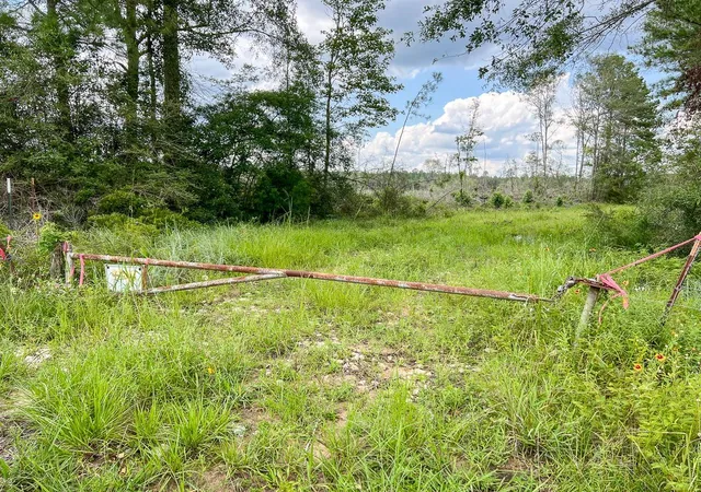 Homes for sale in Honey Island, TX | 1 Old Honey Island Road, Honey Island, TX 77625 | MLS# 74123765