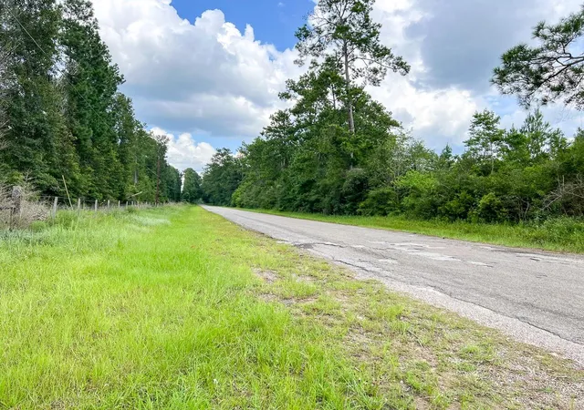Homes for sale in Honey Island, TX | 1 Old Honey Island Road, Honey Island, TX 77625 | MLS# 74123765