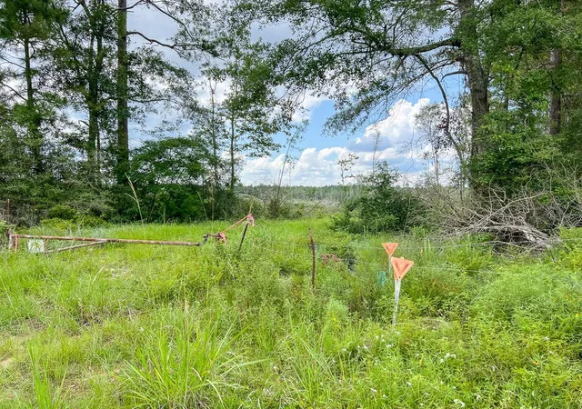 Homes for sale in Honey Island, TX | 1 Old Honey Island Road, Honey Island, TX 77625 | MLS# 74123765