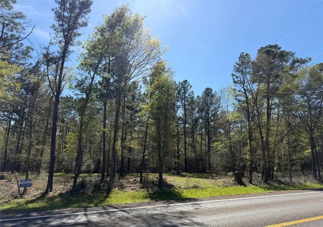 Homes for sale in Huntsville, TX | 00 00 Fm 247, Huntsville, TX 77320 | MLS# 72495952