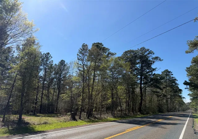 Homes for sale in Huntsville, TX | 00 00 Fm 247, Huntsville, TX 77320 | MLS# 72495952
