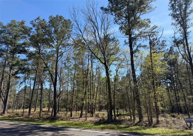 Homes for sale in Huntsville, TX | 00 00 Fm 247, Huntsville, TX 77320 | MLS# 72495952