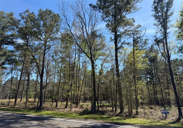 Homes for sale in Huntsville, TX | 00 00 Fm 247, Huntsville, TX 77320 | MLS# 72495952