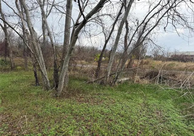 image of 0 Amos Street, Houston, TX 77021 | MLS# 48628491