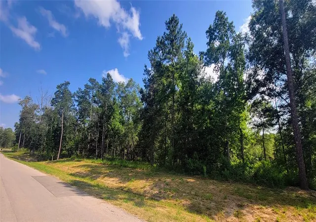 1st image of 1030 County Road 6325, Dayton, TX 77535 | MLS# 51848083