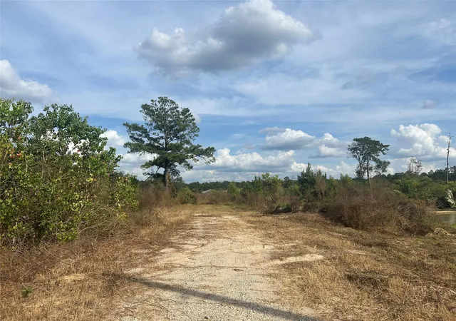 19th image of 18074 Hill Rd, Cleveland, TX 77328 | MLS# 24512651