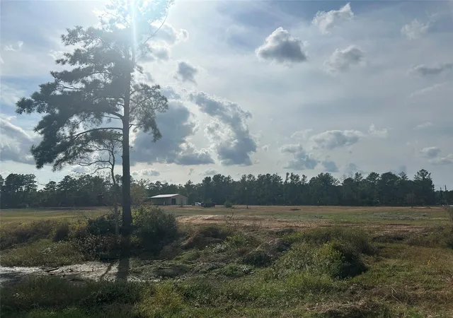 4th image of 18074 Hill Rd, Cleveland, TX 77328 | MLS# 24512651