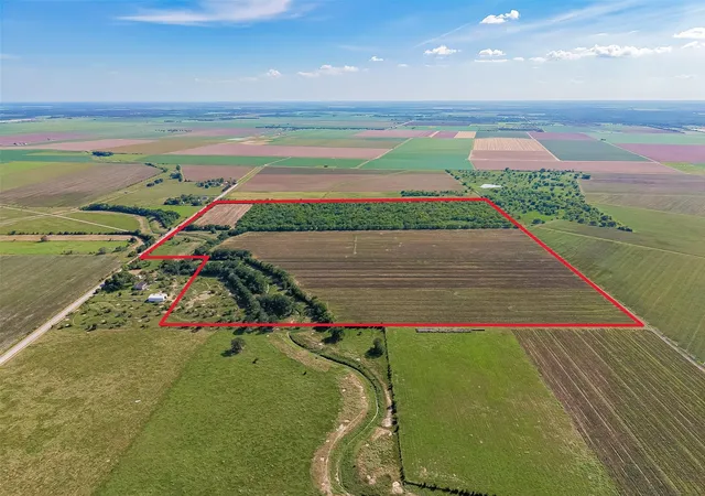 Photo 3 of Land for sale at 10542 Walker Rd, Beasley, TX 77417 | MLS# 73980956 | Listing updated on 2026-09-02