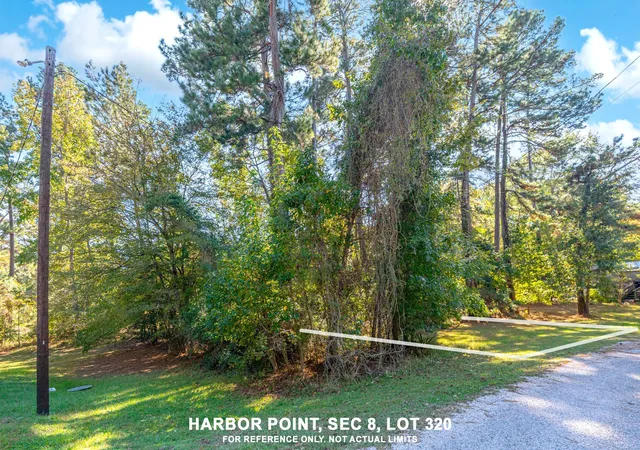 Homes for sale in Trinity, TX | 0 Harbor Point Section B, Trinity, TX 75862 | MLS# 59343000
