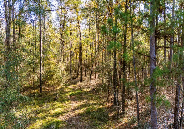 10th image of 038 Sportsman Retreat Rd, Onalaska, TX 77360 | MLS# 28657295