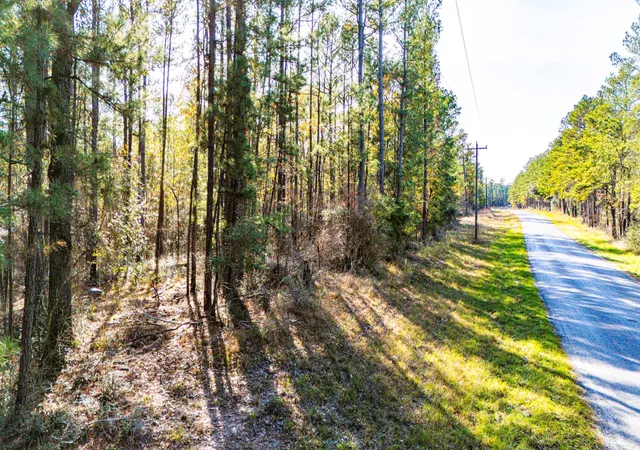 2nd image of 038 Sportsman Retreat Rd, Onalaska, TX 77360 | MLS# 28657295