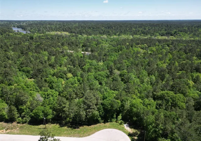 Photo 3 of Land for sale at 0 Pyrite Ct, Huntsville, TX 77340 | MLS# 88189794 | Listing updated on 2026-07-29