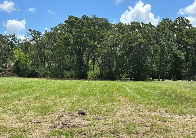 Photo 3 of Land for sale at 1678 Opal Trl, Willis, TX 77378 | MLS# 22708512 | Listing updated on 2026-07-08