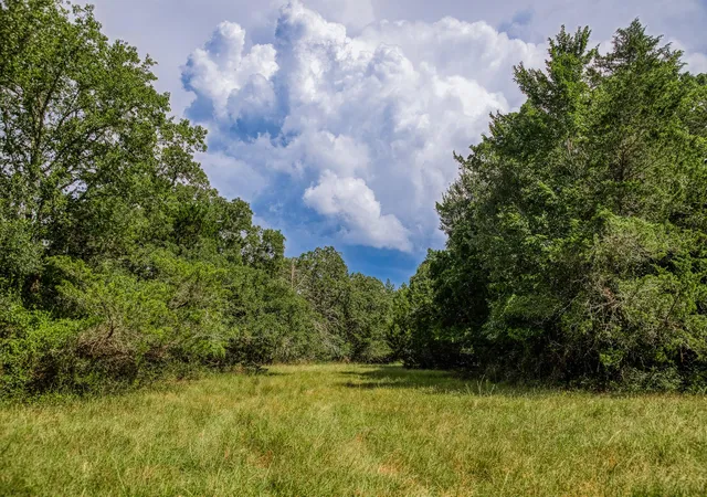 Homes for sale in Round Top, TX | 3420 Rohde Rd, Round Top, TX 78954 | MLS# 98111833