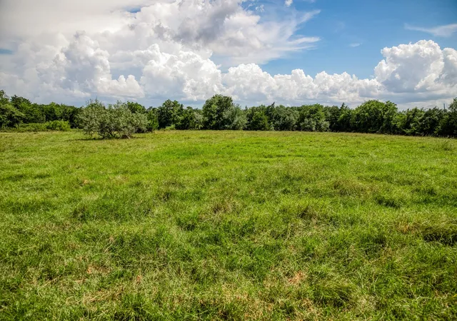 Homes for sale in Round Top, TX | 3420 Rohde Rd, Round Top, TX 78954 | MLS# 98111833