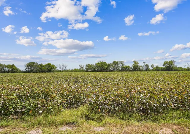 Photo 4 of Land for sale at 8433 Fairchild Rd, Richmond, TX 77469 | MLS# 28988470 | Listing updated on 2026-09-14