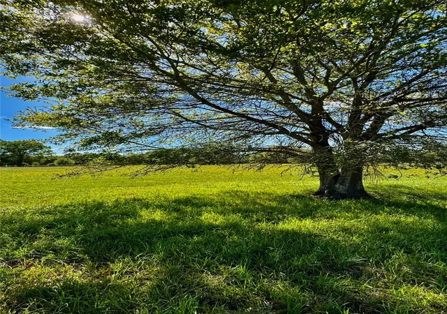 Photo 3 of Land for sale at 0 Meadow Crk Rd, Hockley, TX 77447 | MLS# 39404302 | Listing updated on 2026-09-17