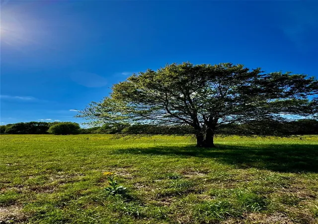 Photo 4 of Land for sale at 0 Meadow Crk Rd, Hockley, TX 77447 | MLS# 39404302 | Listing updated on 2026-09-17