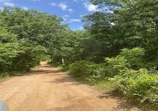6th image of 17804 County Road 2509, Eustace, TX 75124 | MLS# 44021045